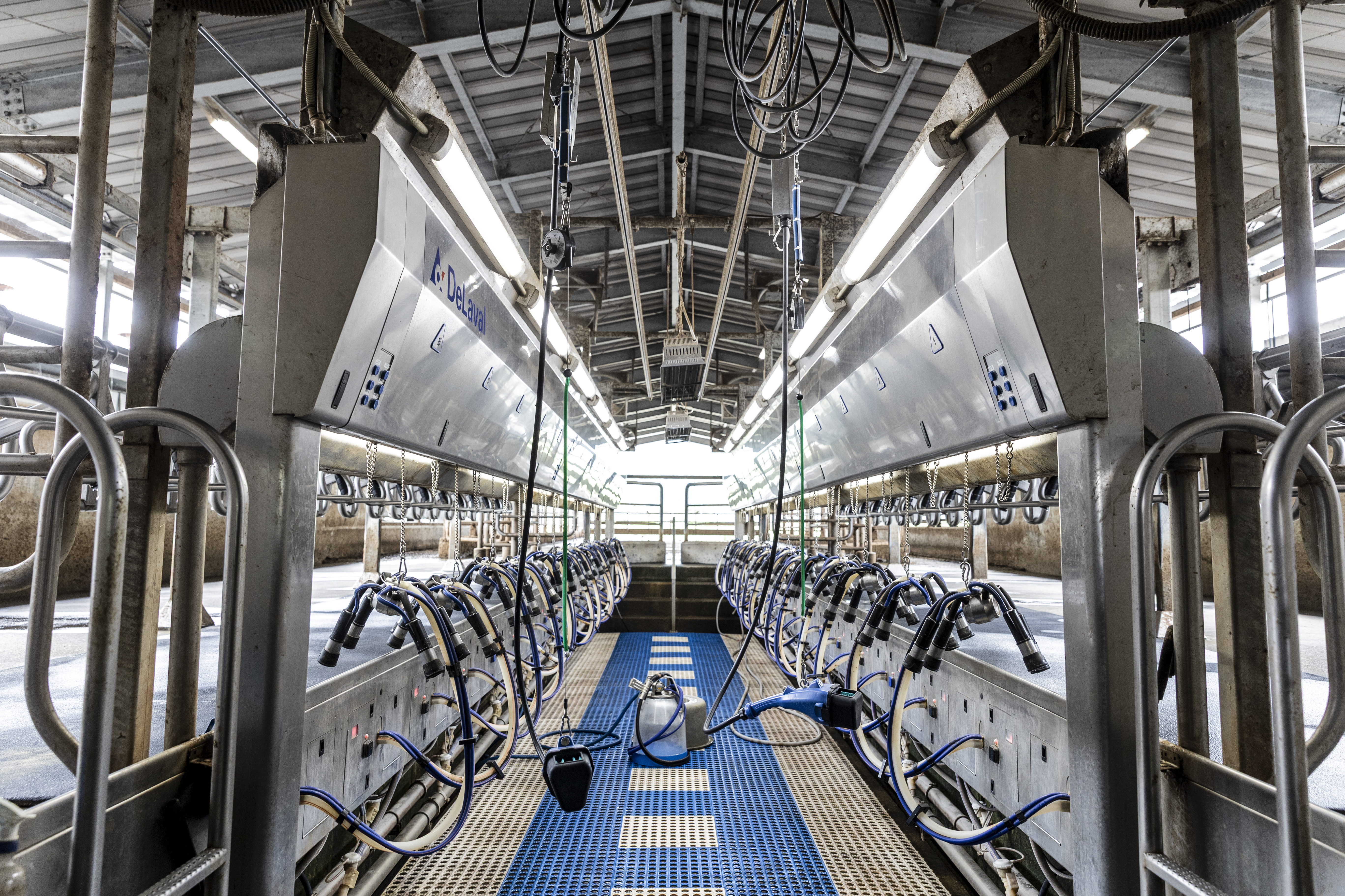 京都府　T牧場様