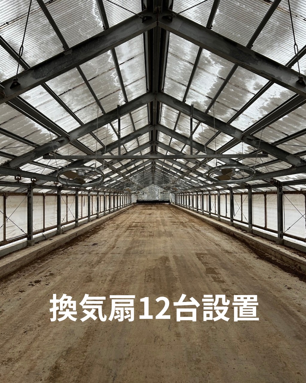 京都府　Ｂ牧場様