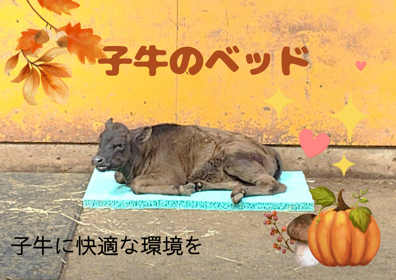 兵庫県　M牧場様